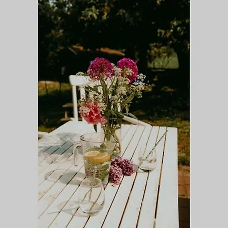 Apartament Kurzenmoor Remise 100 Qm Seester